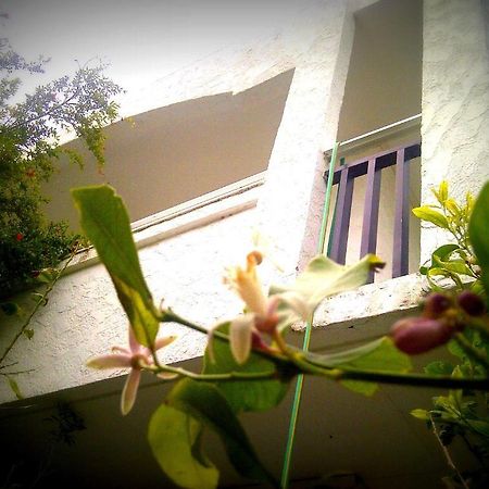 פליראקי Thalassa Studios מראה חיצוני תמונה