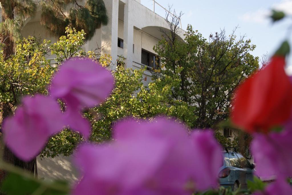 פליראקי Thalassa Studios מראה חיצוני תמונה