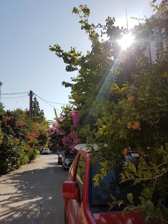 פליראקי Thalassa Studios מראה חיצוני תמונה
