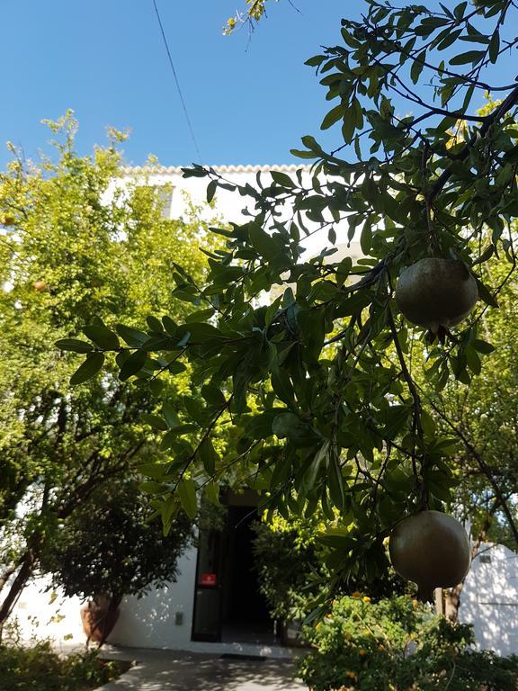 פליראקי Thalassa Studios מראה חיצוני תמונה
