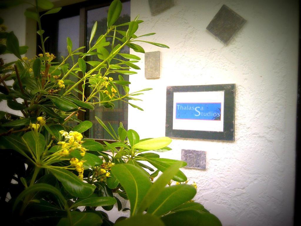 פליראקי Thalassa Studios מראה חיצוני תמונה