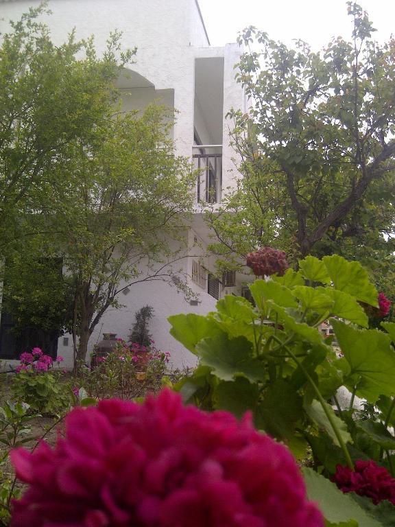 פליראקי Thalassa Studios מראה חיצוני תמונה
